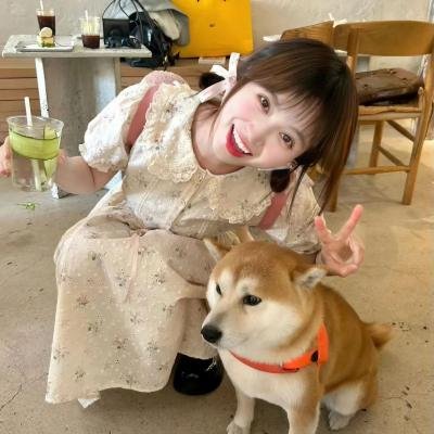 我的天才女友 第三季